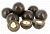 Hazelnut in chocolate vanilla
